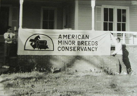 1985 Office